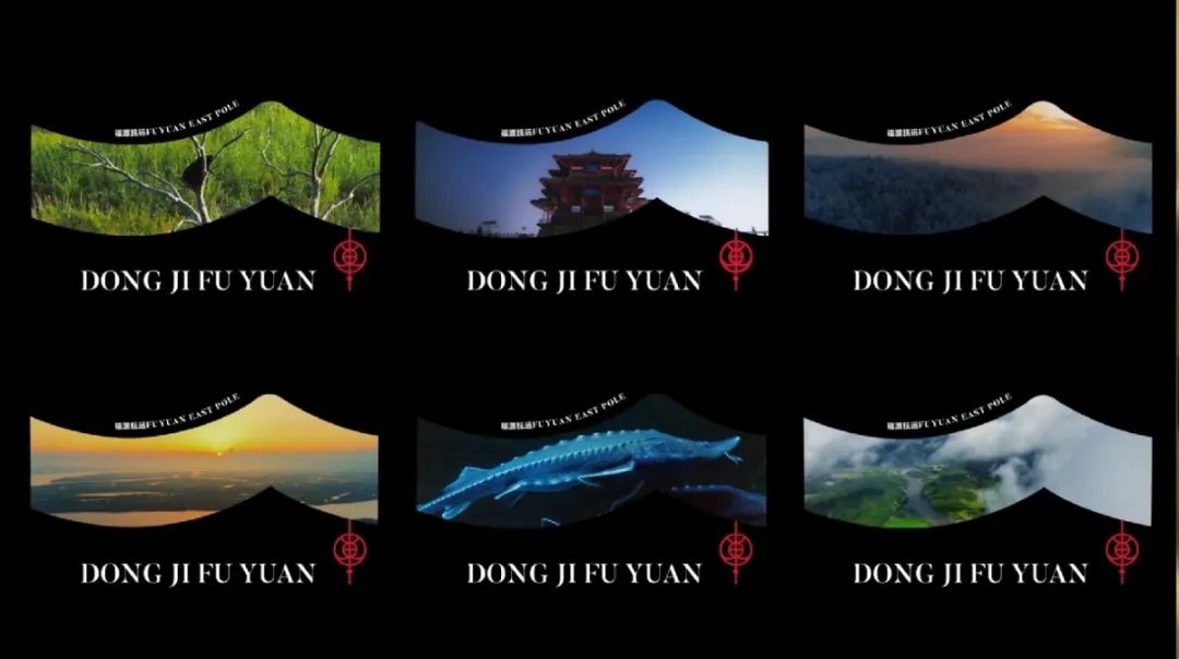 抚远乔治 (1).jpg